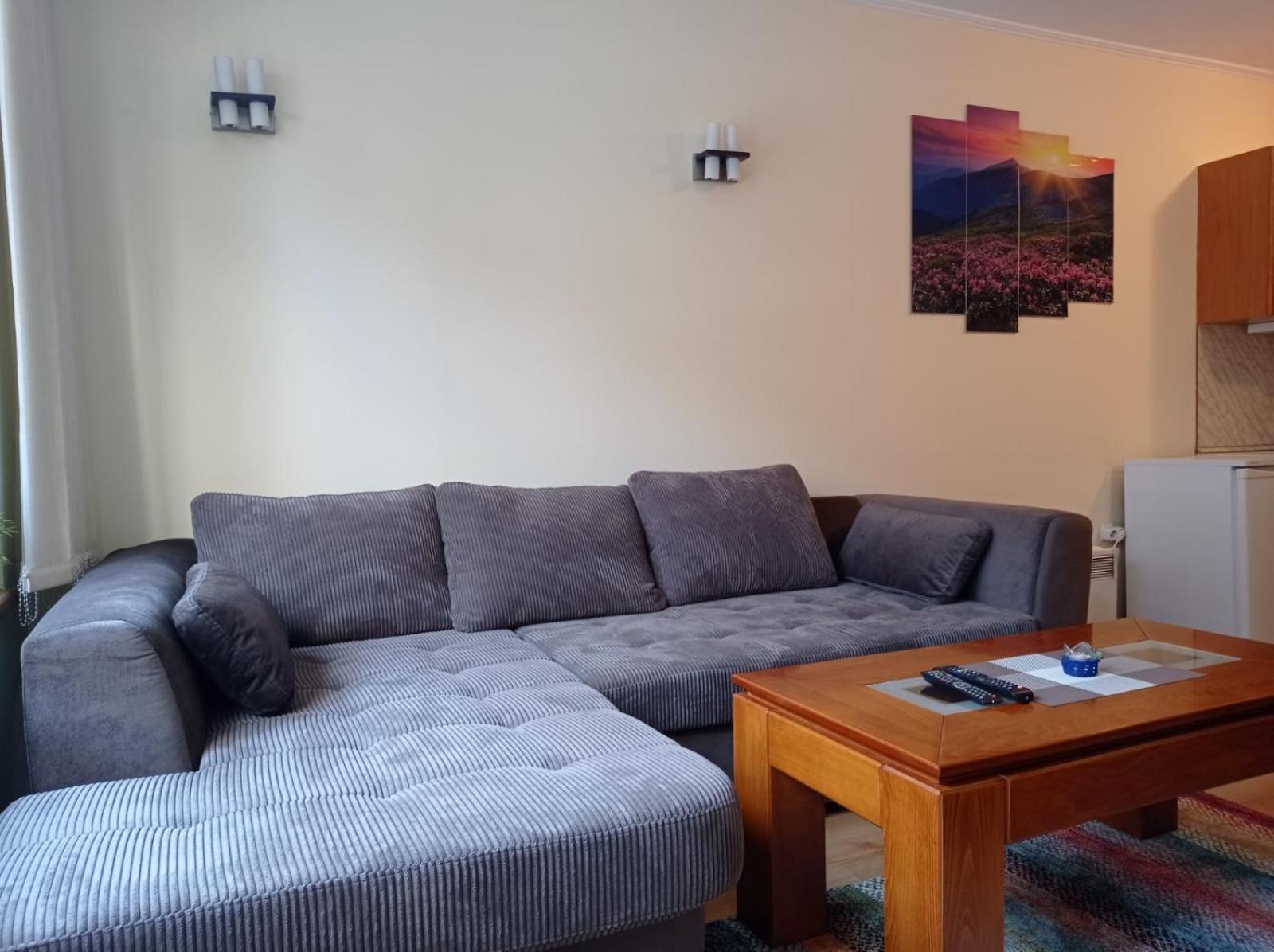 Pine Tree Apartment 3 - B3 Μπάνσκο Εξωτερικό φωτογραφία