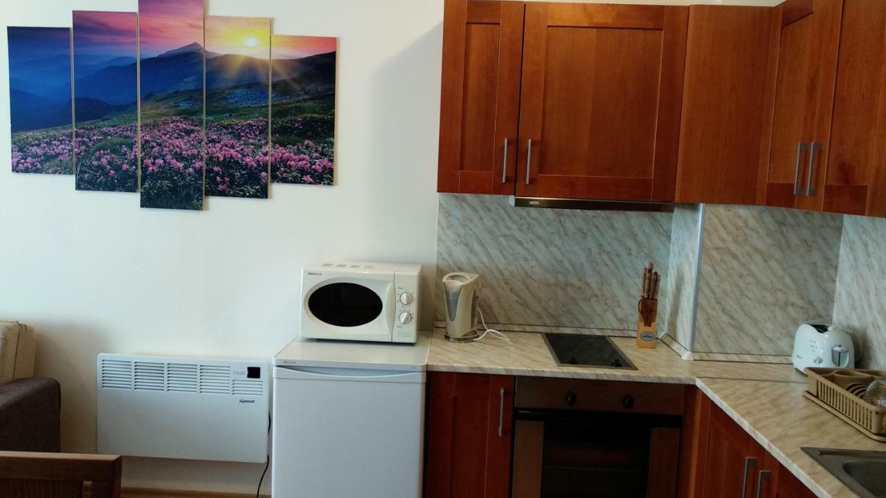 Pine Tree Apartment 3 - B3 Μπάνσκο Εξωτερικό φωτογραφία