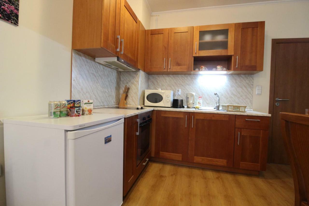 Pine Tree Apartment 3 - B3 Μπάνσκο Εξωτερικό φωτογραφία
